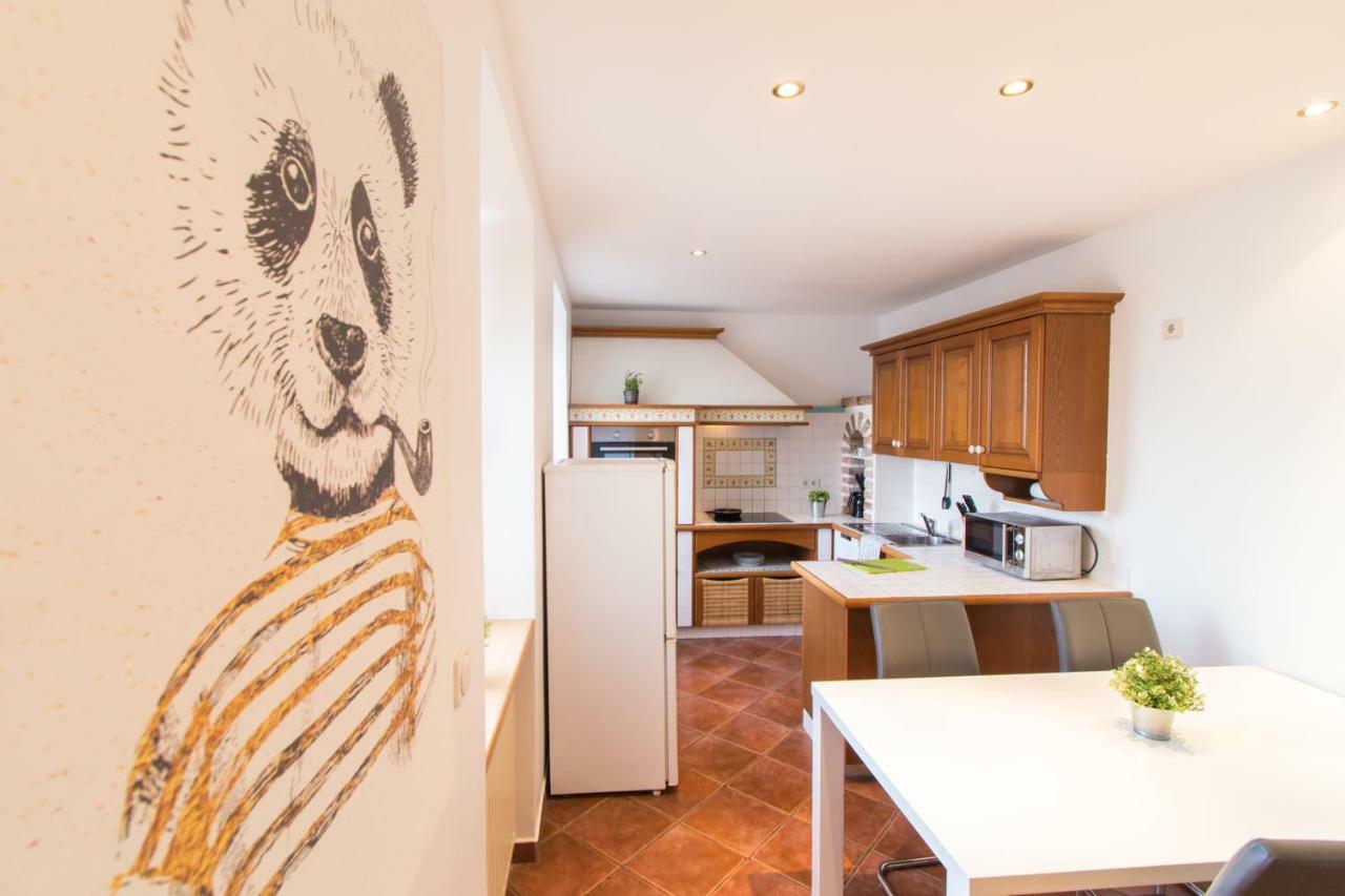 Apartament Davidgasse Viena