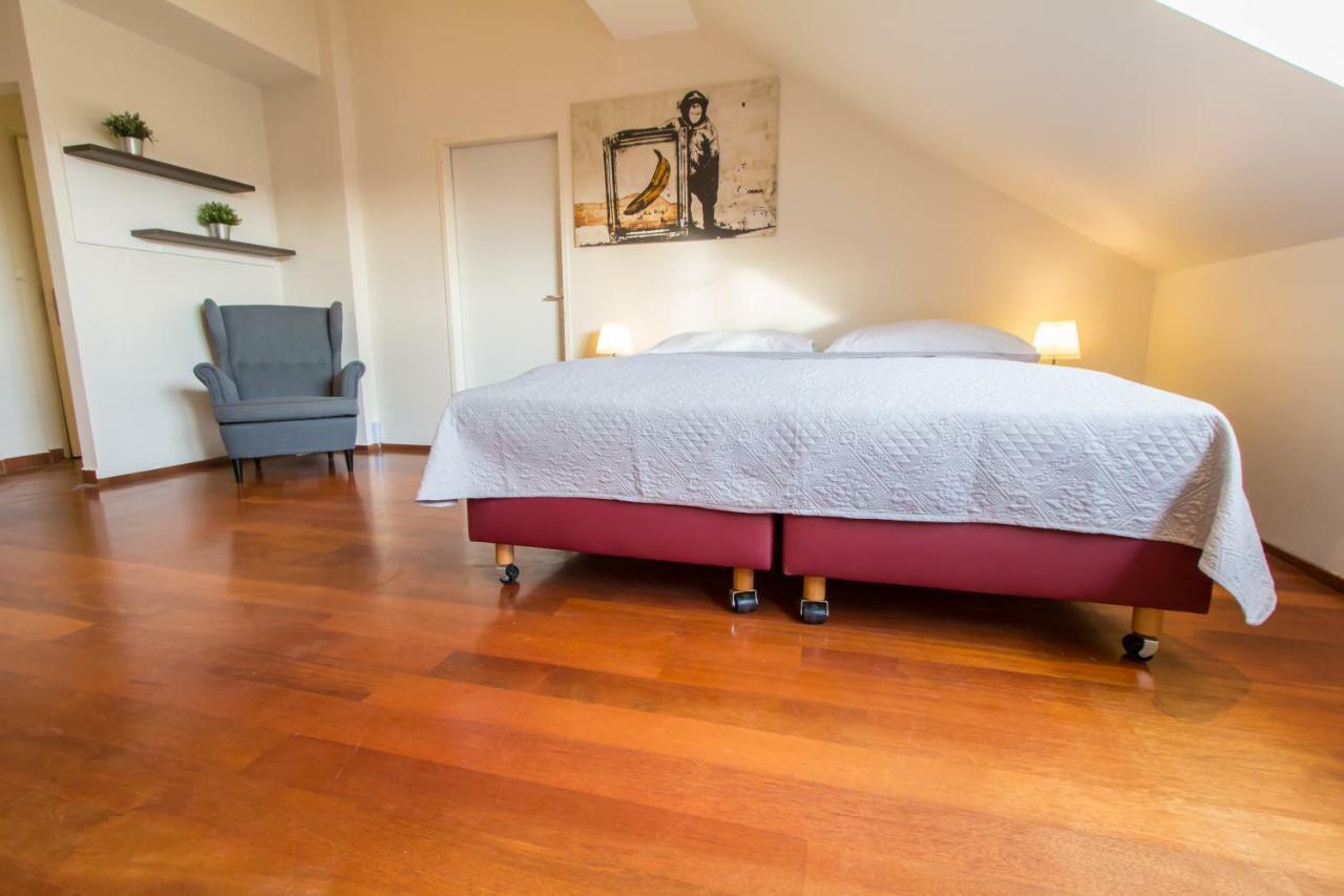 Apartament Davidgasse *